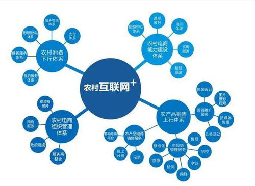 農(nóng)村電商的發(fā)展現(xiàn)狀、問(wèn)題及趨勢(shì) 計(jì)算機(jī)技術(shù)服務(wù)的機(jī)遇與挑戰(zhàn)